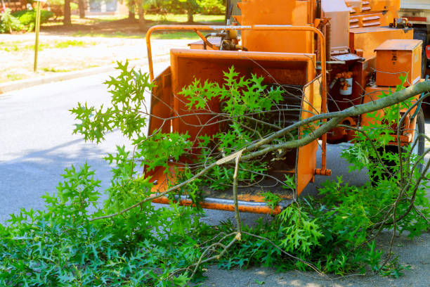 Best Lawn Drainage Solutions  in North Puyallup, WA